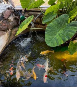 blog