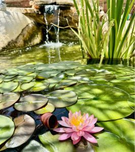 blog